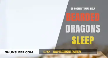 Cooler Temps and Bearded Dragons: Enhancing Sleep Quality Naturally