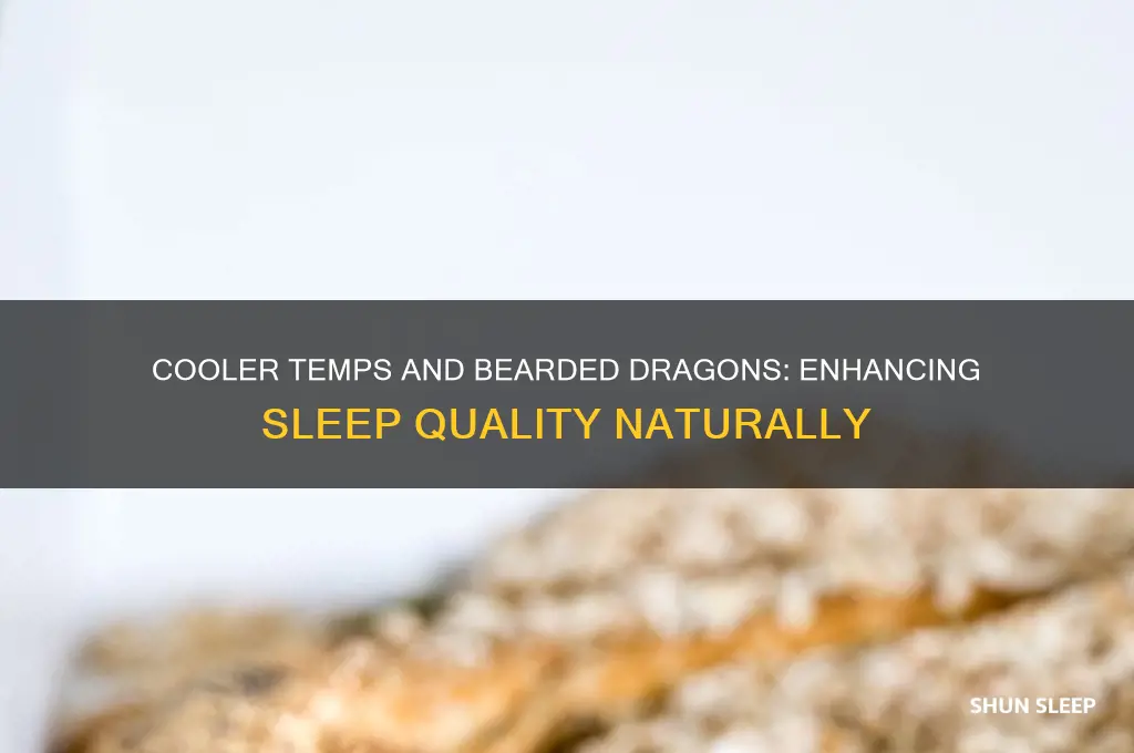 do cooler temps help bearded dragons sleep