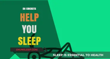 Crickets and Sleep: Nature's Soothing Sounds for Better Rest
