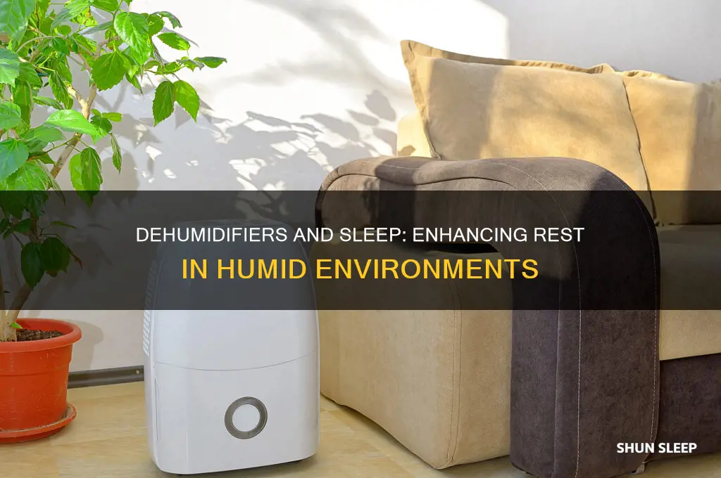 do dehumidifier help sleep