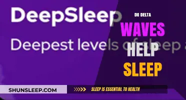 Delta Waves and Sleep: Unlocking the Science Behind Restorative Slumber
