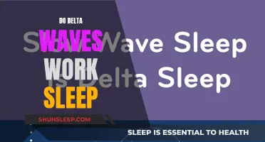 Delta Waves: Sleep Solution or Myth?