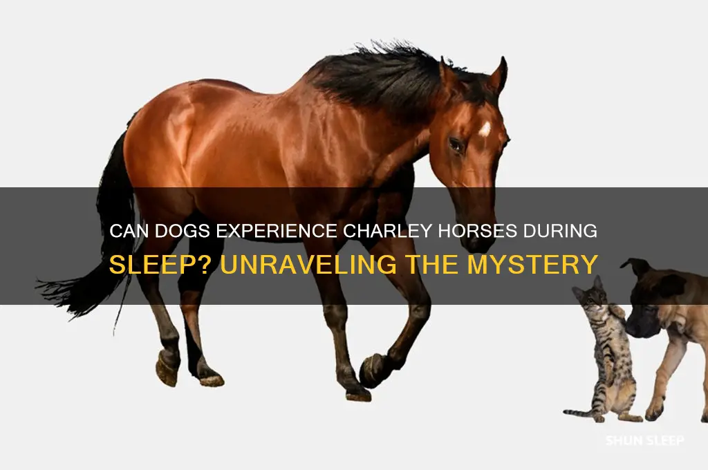 do dogs get charley horses while sleeping