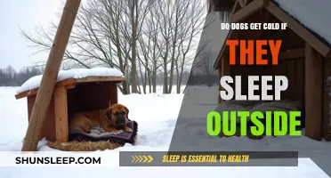 Can Dogs Sleep Outside in Cold Weather? Expert Tips and Advice