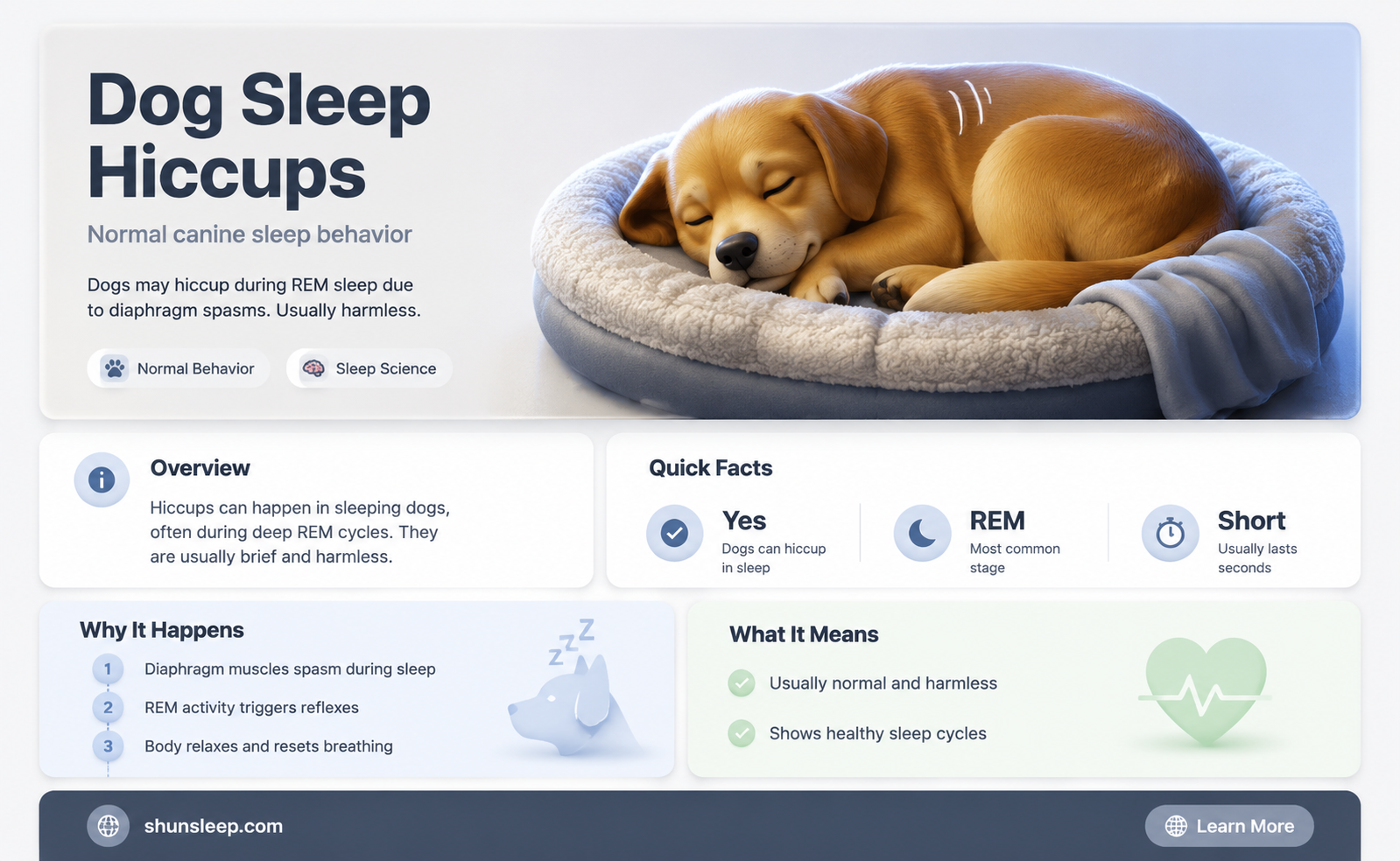 can dogs get hiccups in their sleep