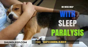 Canine Companions: Do Dogs Aid in Combating Sleep Paralysis?