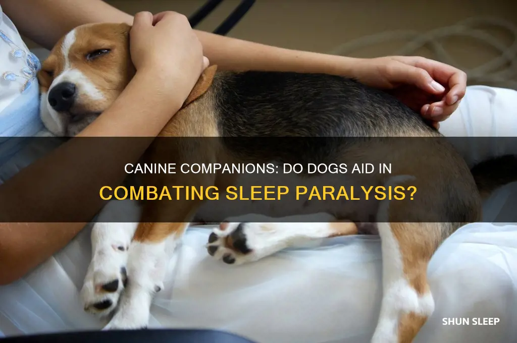 do dogs help with sleep paralysis