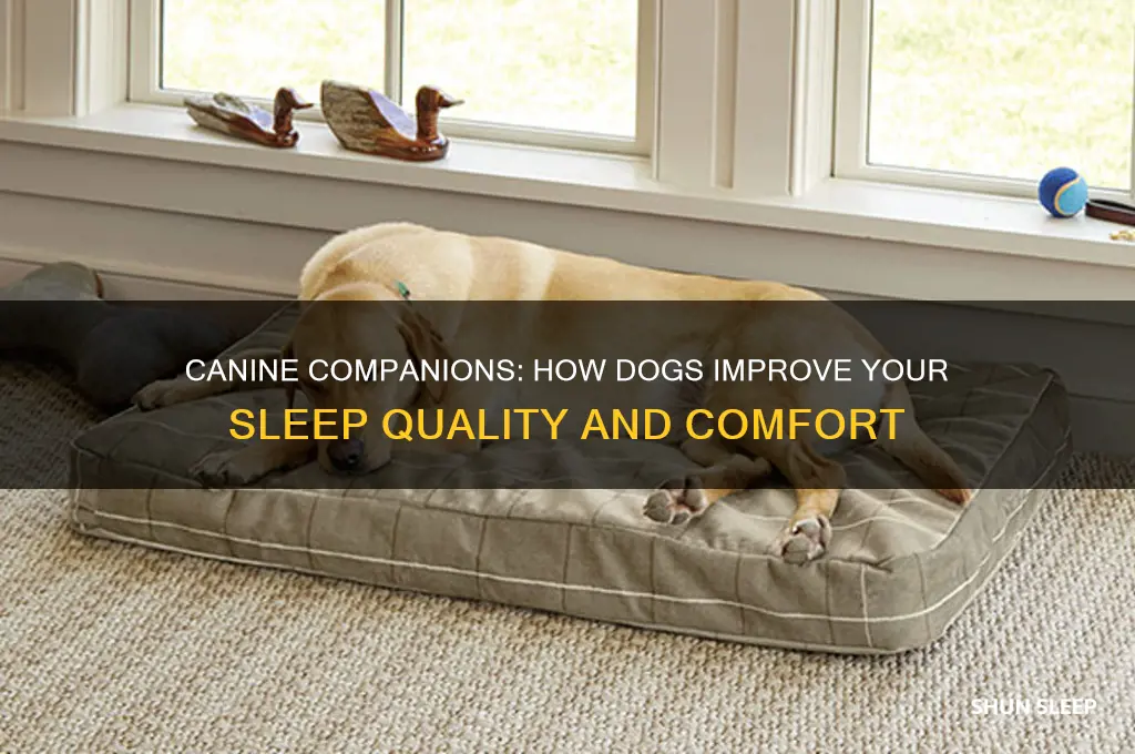 do dogs help you sleep