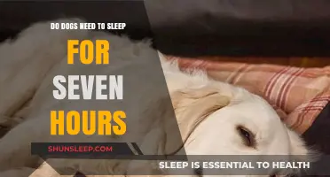 Do Dogs Need 7 Hours of Sleep? Unraveling Canine Rest Myths