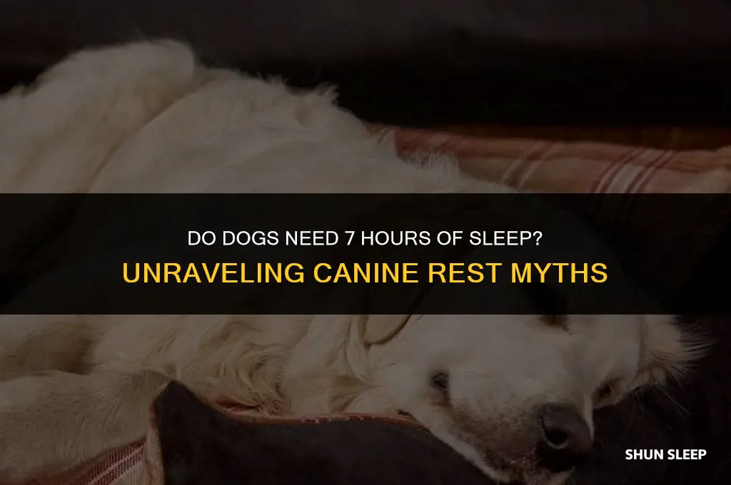 do dogs need to sleep for seven hours