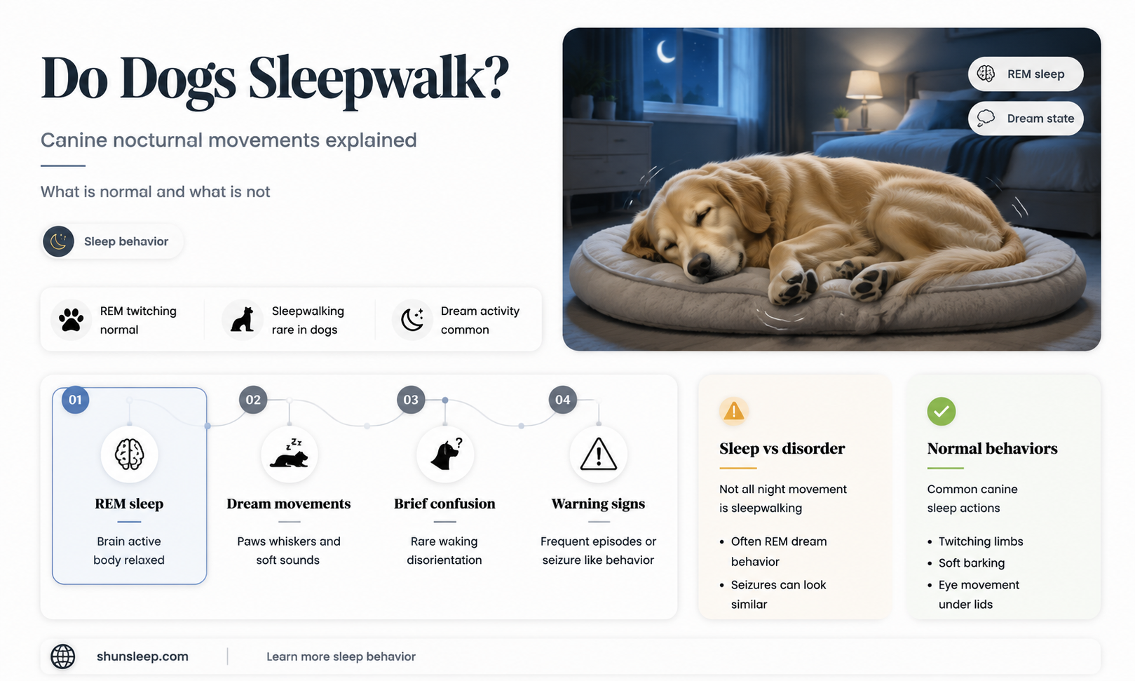 can dogs get sleep walking