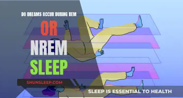 Dream States: REM vs. NREM Sleep