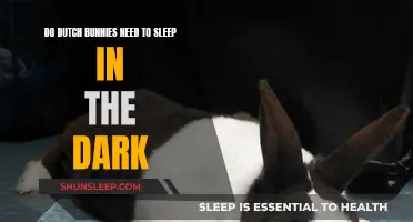 Dutch Bunnies: Do They Need Dark Sleep?