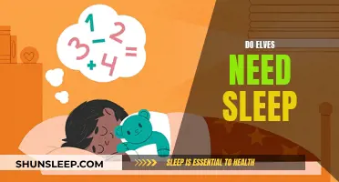 Exploring the Sleep Patterns of Elves