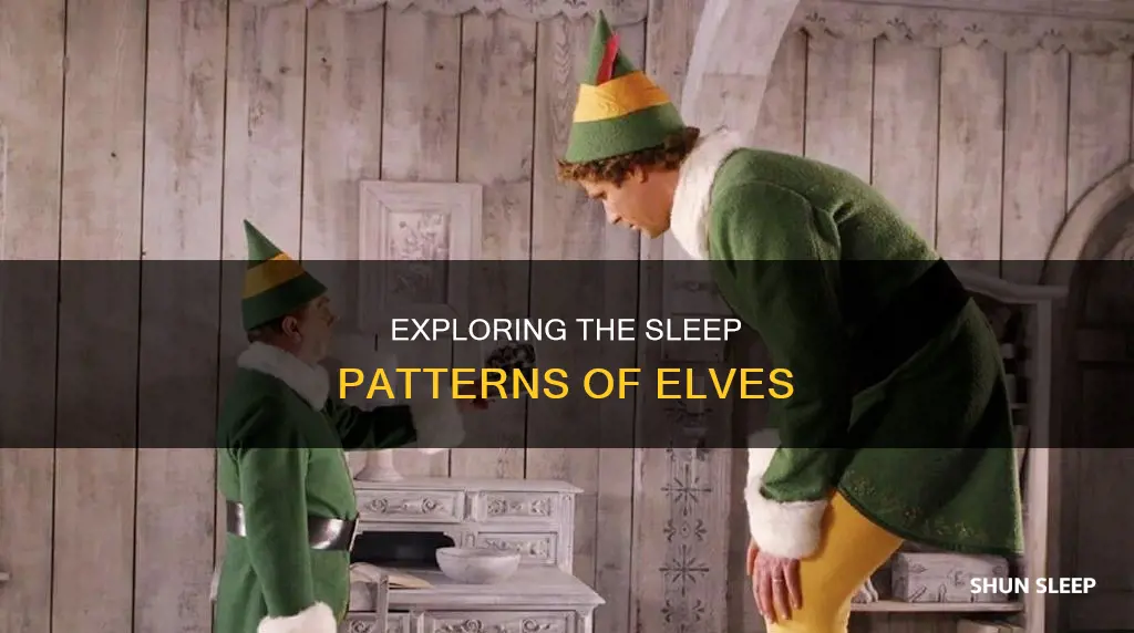 do elves need sleep