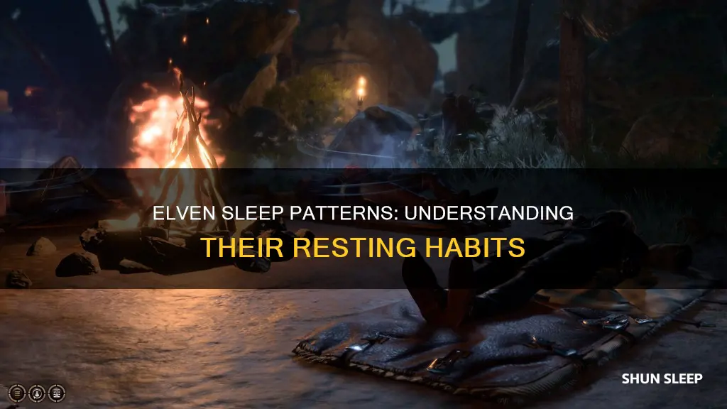 do elves need to sleep in dnd