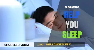 Endorphins and Sleep: How Feel-Good Hormones Impact Rest Quality