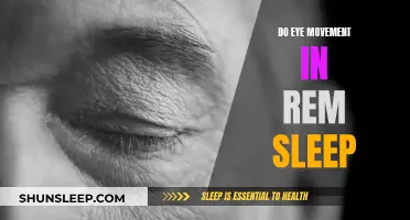 Eye Movement in REM Sleep: What Does it Mean?