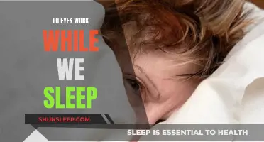 Eyesight During Sleep: Do Our Eyes Work?