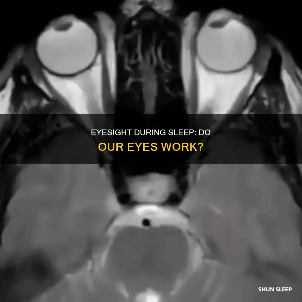 do eyes work while we sleep