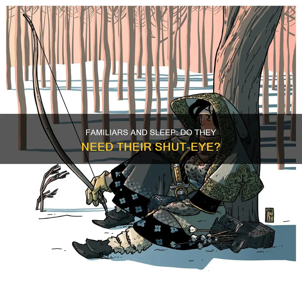 do familair need to sleep d&d 5e