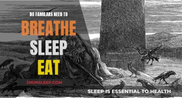 The Needs of Familiars: Eat, Sleep, Breathe?