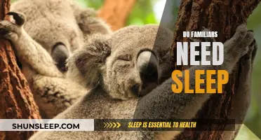Familiars and Sleep: What's the Connection?