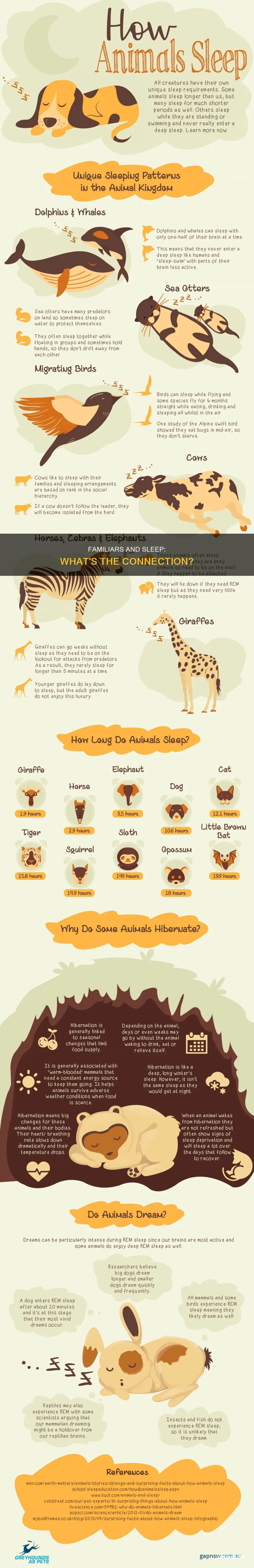 do familiars need sleep
