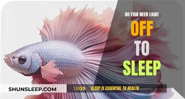 Fish Sleep: Lights On or Off?