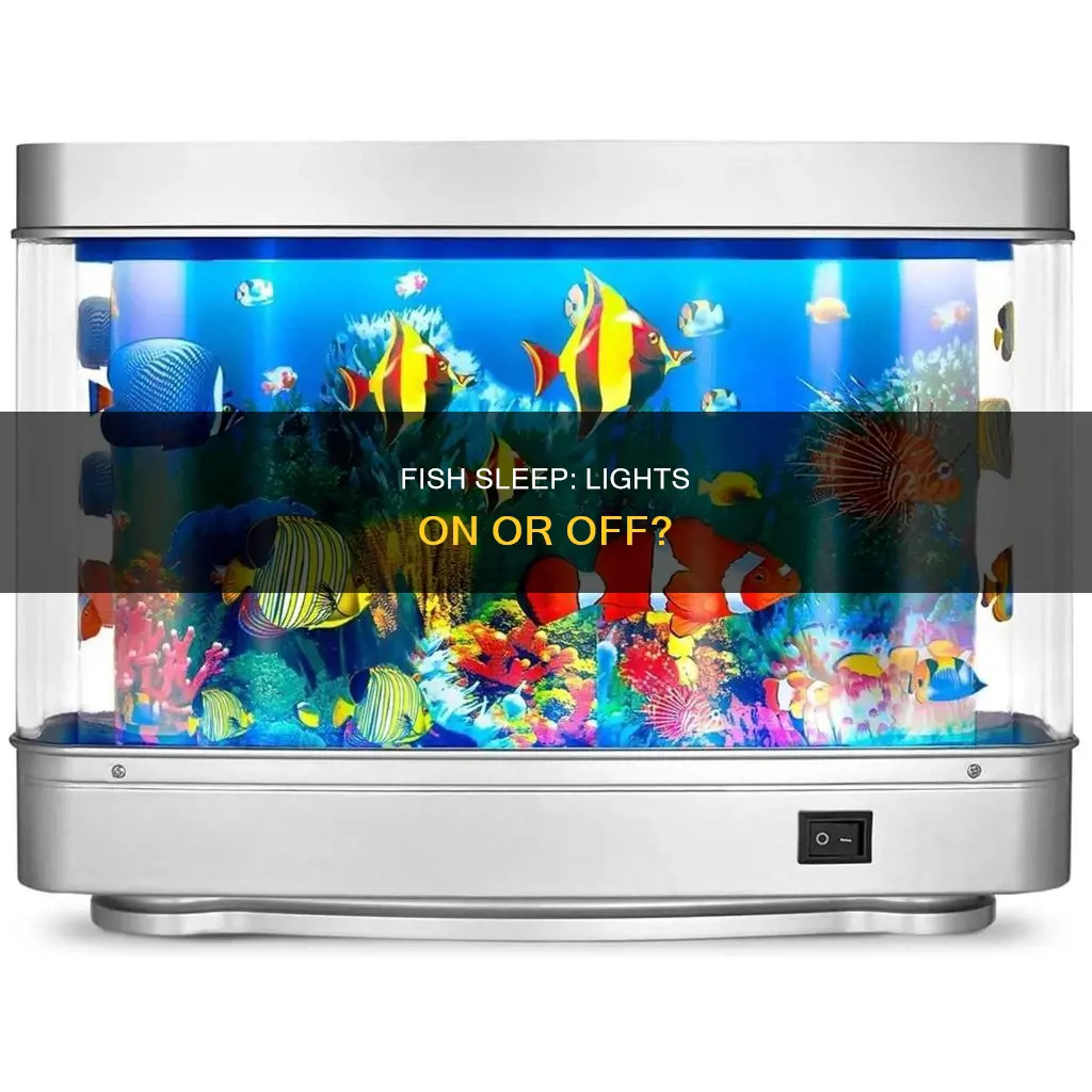 do fish need light off to sleep