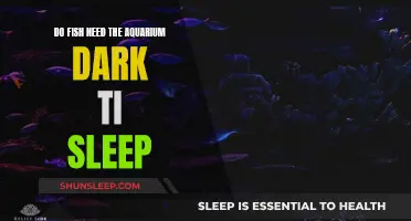 Fish Sleep: Lights Out or Dimmed for Aquariums?