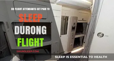 Do Flight Attendants Get Paid for In-Flight Rest Periods?
