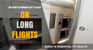 Do Flight Attendants Sleep on Long Flights? Rest Rules Revealed
