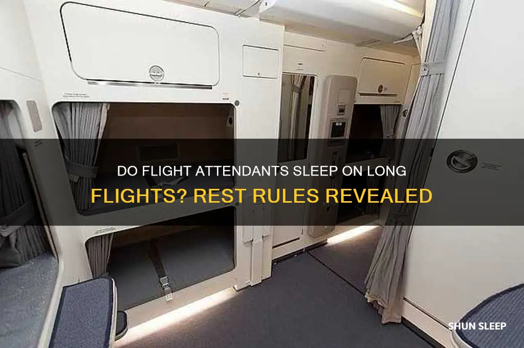 do flight attendants get to sleep on long flights