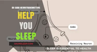 GABA Neurotransmitters and Sleep: Unlocking the Secrets to Restful Nights
