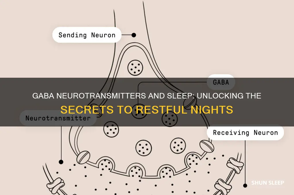 do gaba neurotransmitters help you sleep