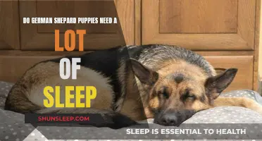 German Shepard Puppies: Sleep Needs and Growth