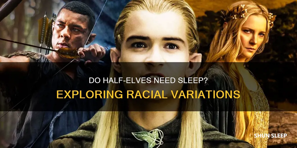 do half elves in dungeons & dragons need to sleep