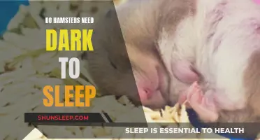 Hamsters' Sleeping Habits: Darkness and Their Needs