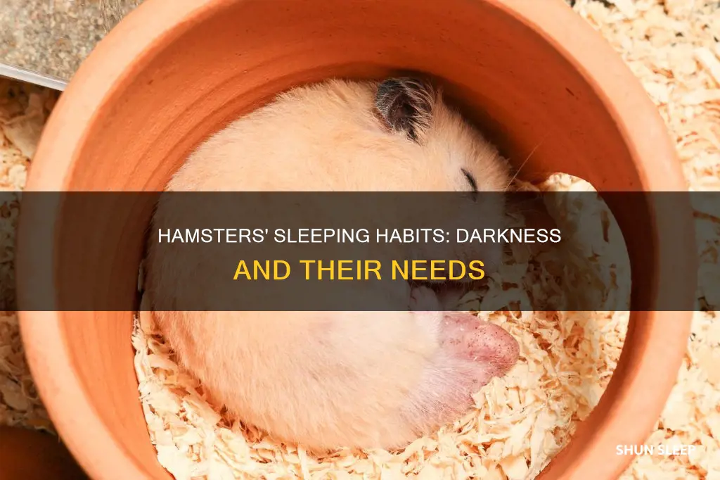 do hamsters need dark to sleep