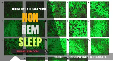 GABA and Sleep: Understanding the Non-REM Connection