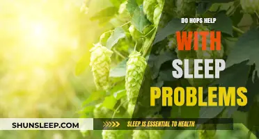 Hops and Sleep: Can This Natural Remedy Improve Your Rest?