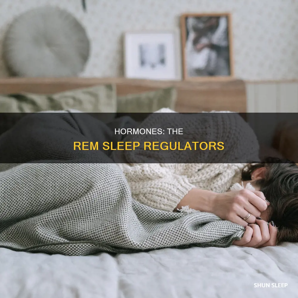 do hormones regulate during rem sleep