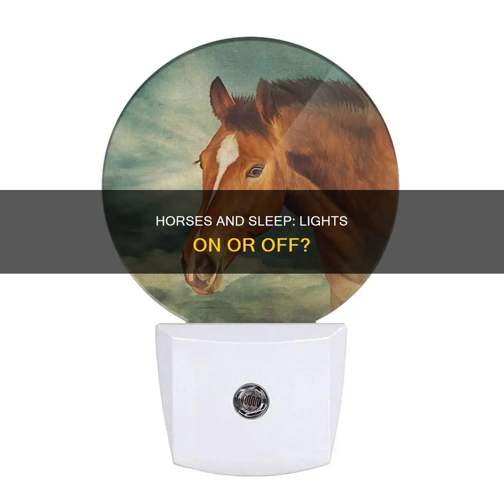 do horses need the light off to sleep