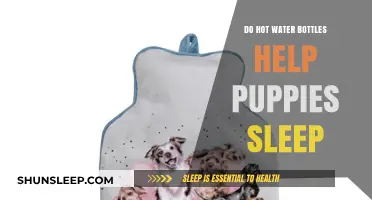 Can Hot Water Bottles Improve Your Puppy's Sleep Quality?