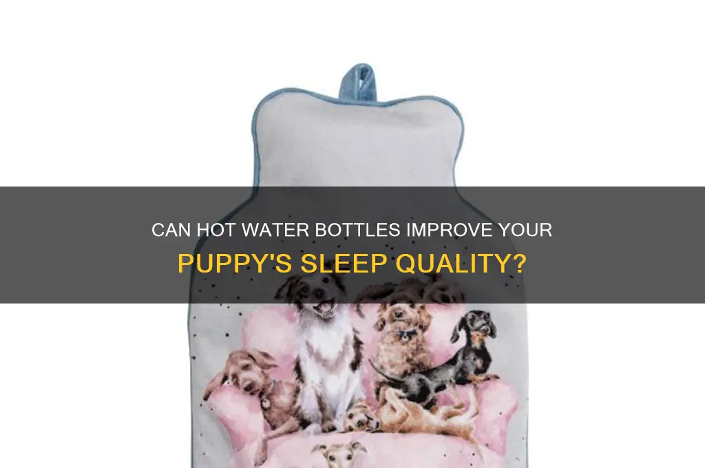 do hot water bottles help puppies sleep
