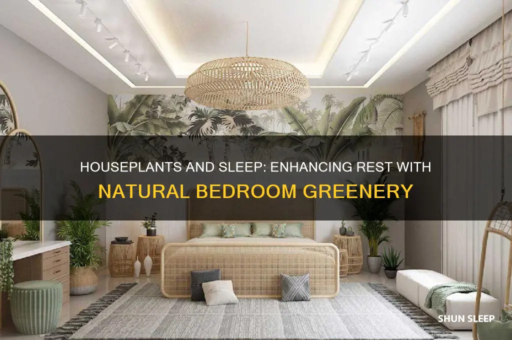 do houseplants help you sleep