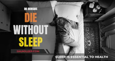 Sleep Deprivation: Can Humans Survive Without Sleep?