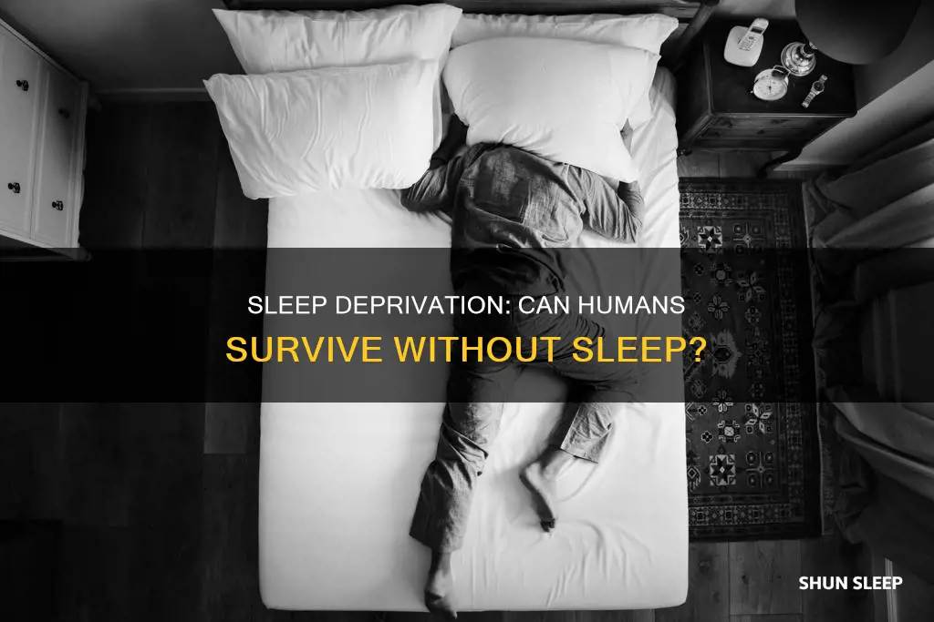 do humans die without sleep