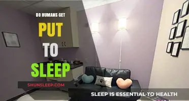 Do Humans Get Put to Sleep? Exploring Euthanasia and End-of-Life Choices